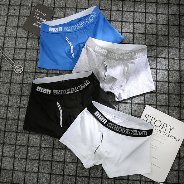 4pcs Boxer Mens Cotton Underpants