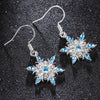 Jewelry Two Color Jeweled Earrings